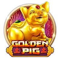 pp image